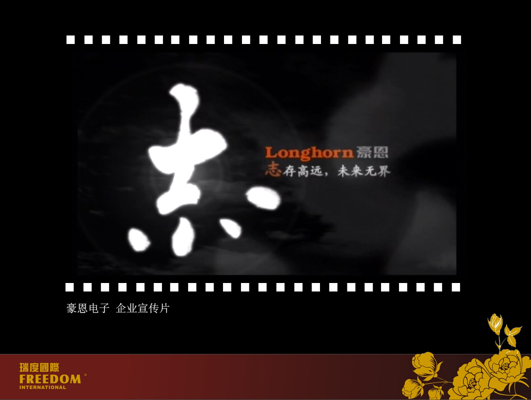 Longhorn 豪恩电子 - 电子科技 案例