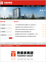 泰和美集团企业网站设计 - 互联网 案例